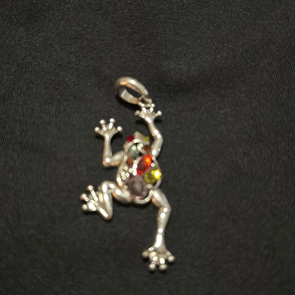 Silvertone Front With Multicolor Rhinestones Frog… - image 1